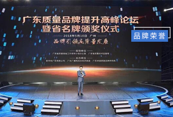 坚守品质19年，大发体育在线客服,集团蝉联广东省名牌产品！